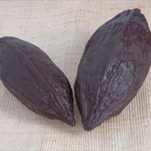 Moule Fruit de cacao taille grande