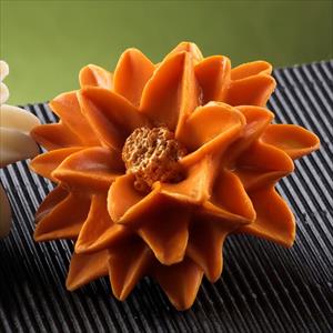 Moule Fleur de Dahlia