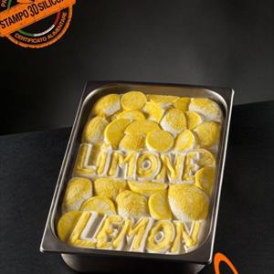 Moule Tablet Crème Glacée Citron