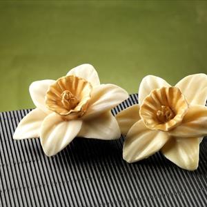 Moule Fleur de narcisse