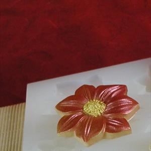 Moule Fleur poinsettias