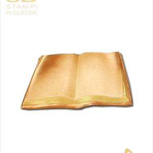 Moule Livre