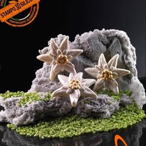 Moule Edelweiss