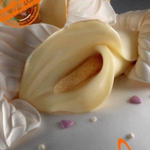 Moule Fleur de calla