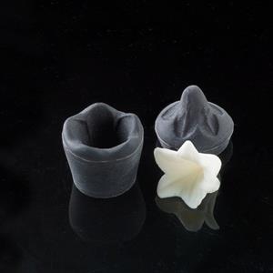 Moule Petit Campanula