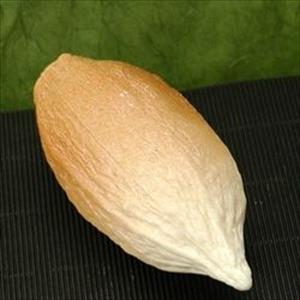 Moule Fruit de cacao taille moyenne