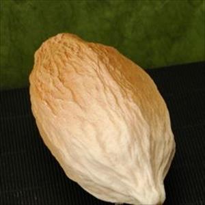 Moule Fruit de cacao taille grande