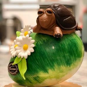 Moule Tortue