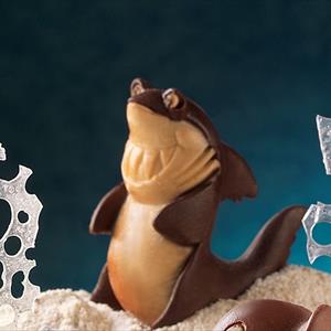 Moule Requin