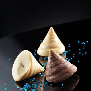 Moule coquille Calliostoma