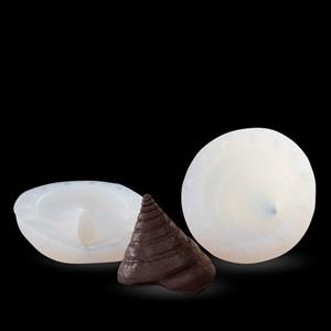 Moule coquille Calliostoma