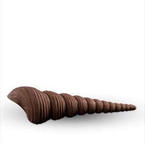 Moule coquille Turritella