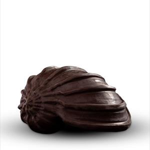 Moule coquille Harpa