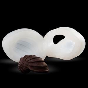 Moule coquille Harpa