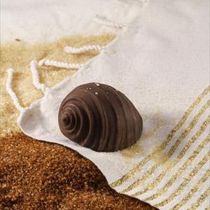 Moule coquille Tonna Galea