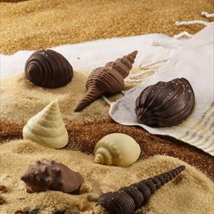 Moule coquille Tonna Galea