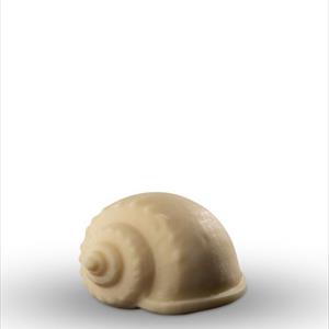 Moule coquille Cassidaria
