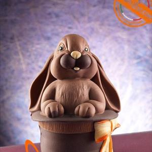 Moule d'Œuf de Pâques Lapin dans le Chapeau Magique