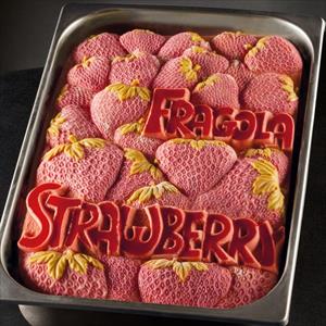 Moule Tablet Crème Glacée Fraise