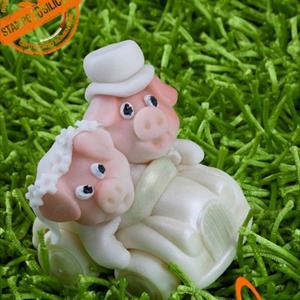 Moule Face de Cochon