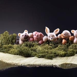 moule Museau du Lapin
