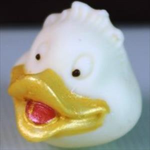 moule Museau du Canard