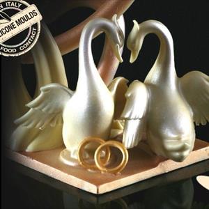 moule Cygne