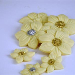 Moule Fleurs poinsettias grandes et petites