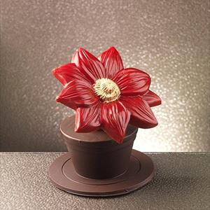 Moule Grande fleur Poinsettia