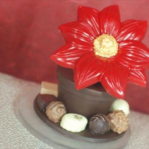 Moule Grande fleur Poinsettia