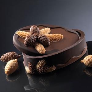 Boîte Oval de chocolat moule à chocolat